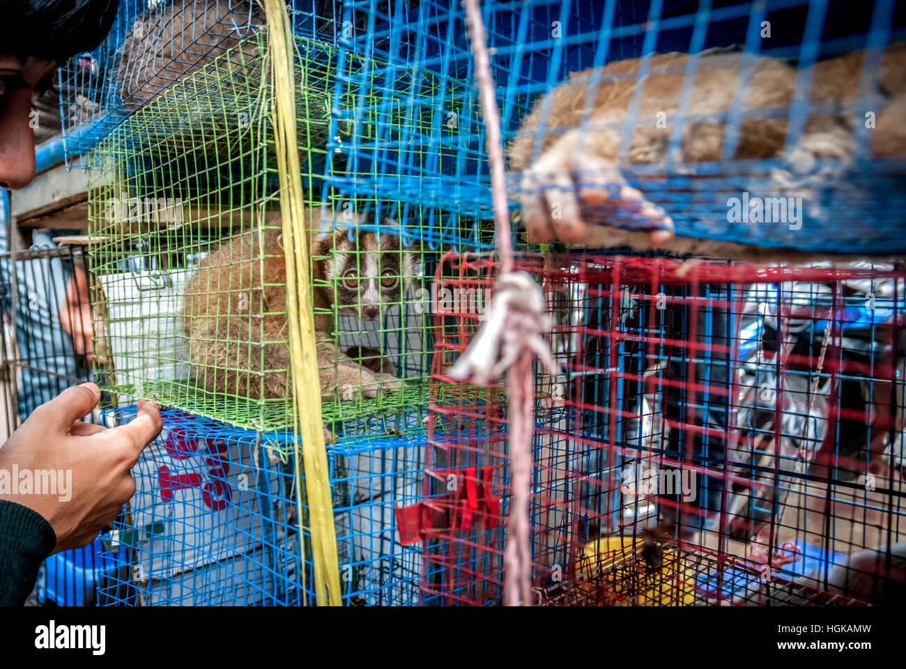 A roadside animal vendor near an animal market that also sells wildlife