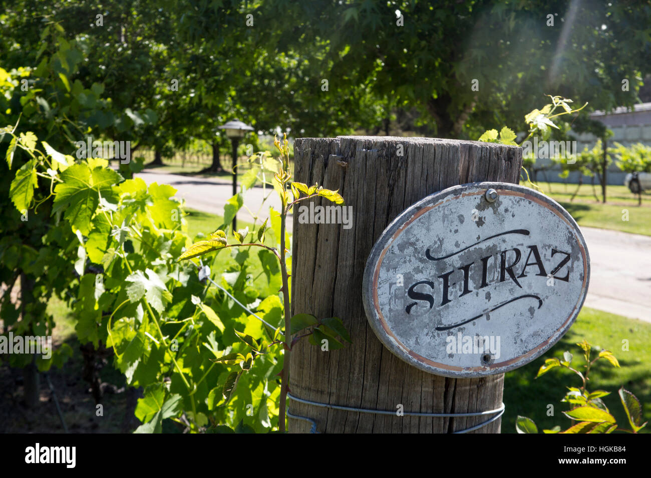 Shiraz sign in the pepper tree winery hunter valley australia hires