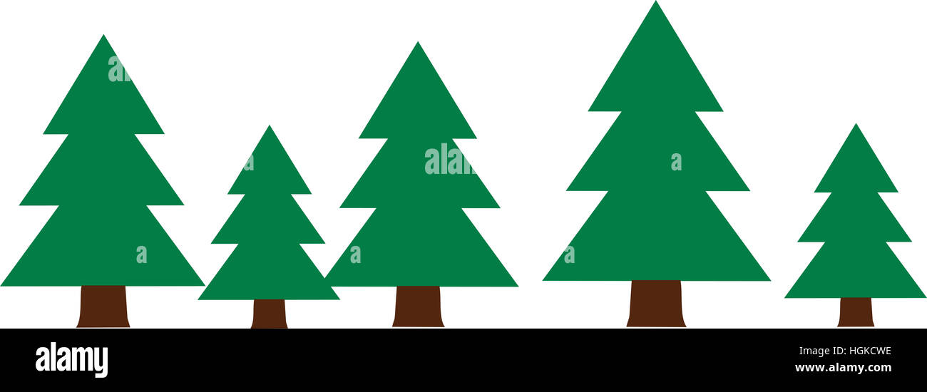 Row with fir trees wood Stock Photo - Alamy