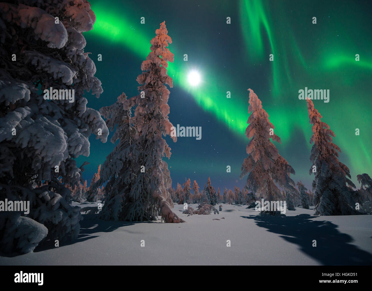 Northern Lights - Aurora borealis over snow-covered forest. Winter ...