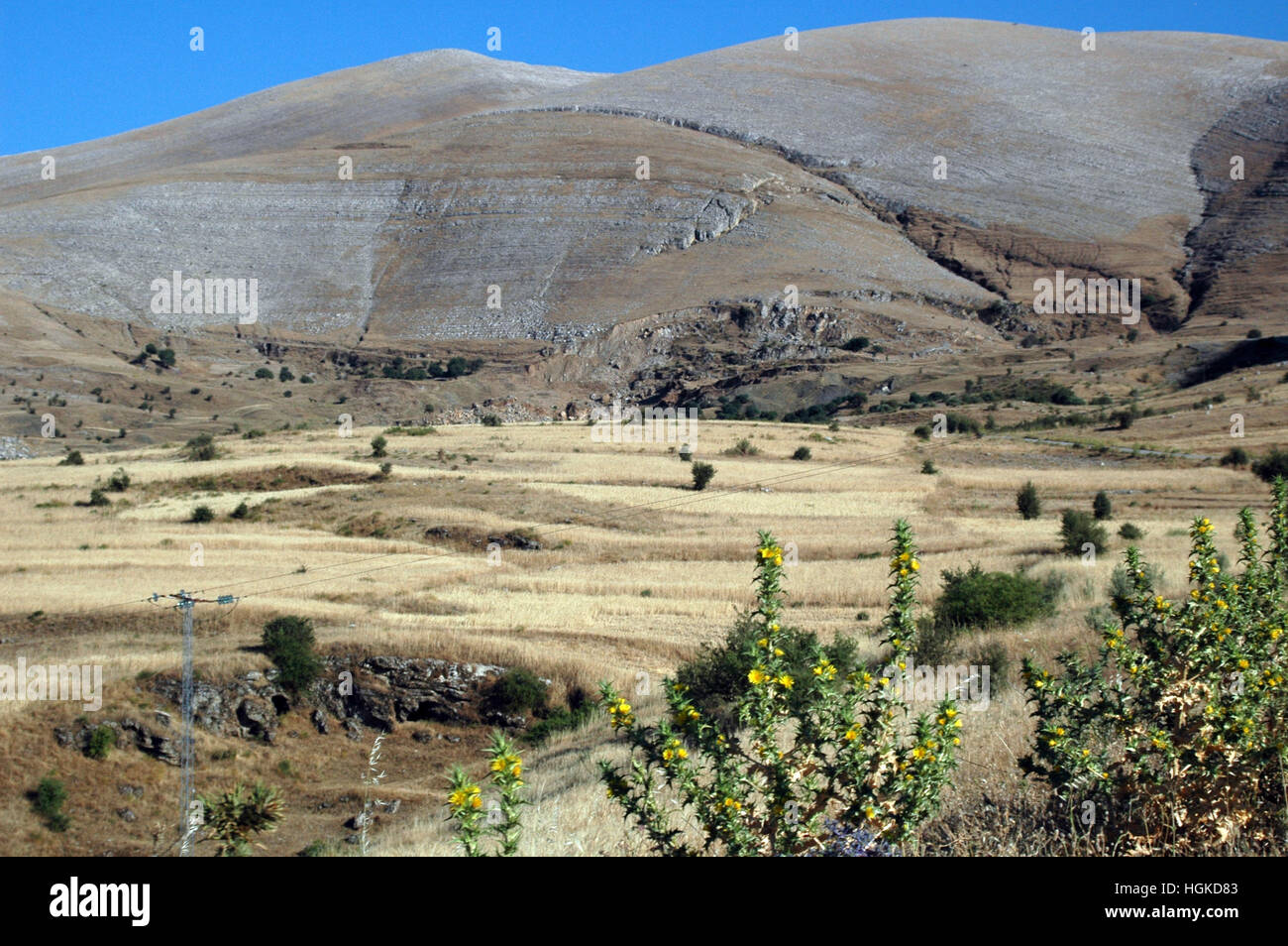 Barren limestone hills of the Khroumire foothills, Béja countryside