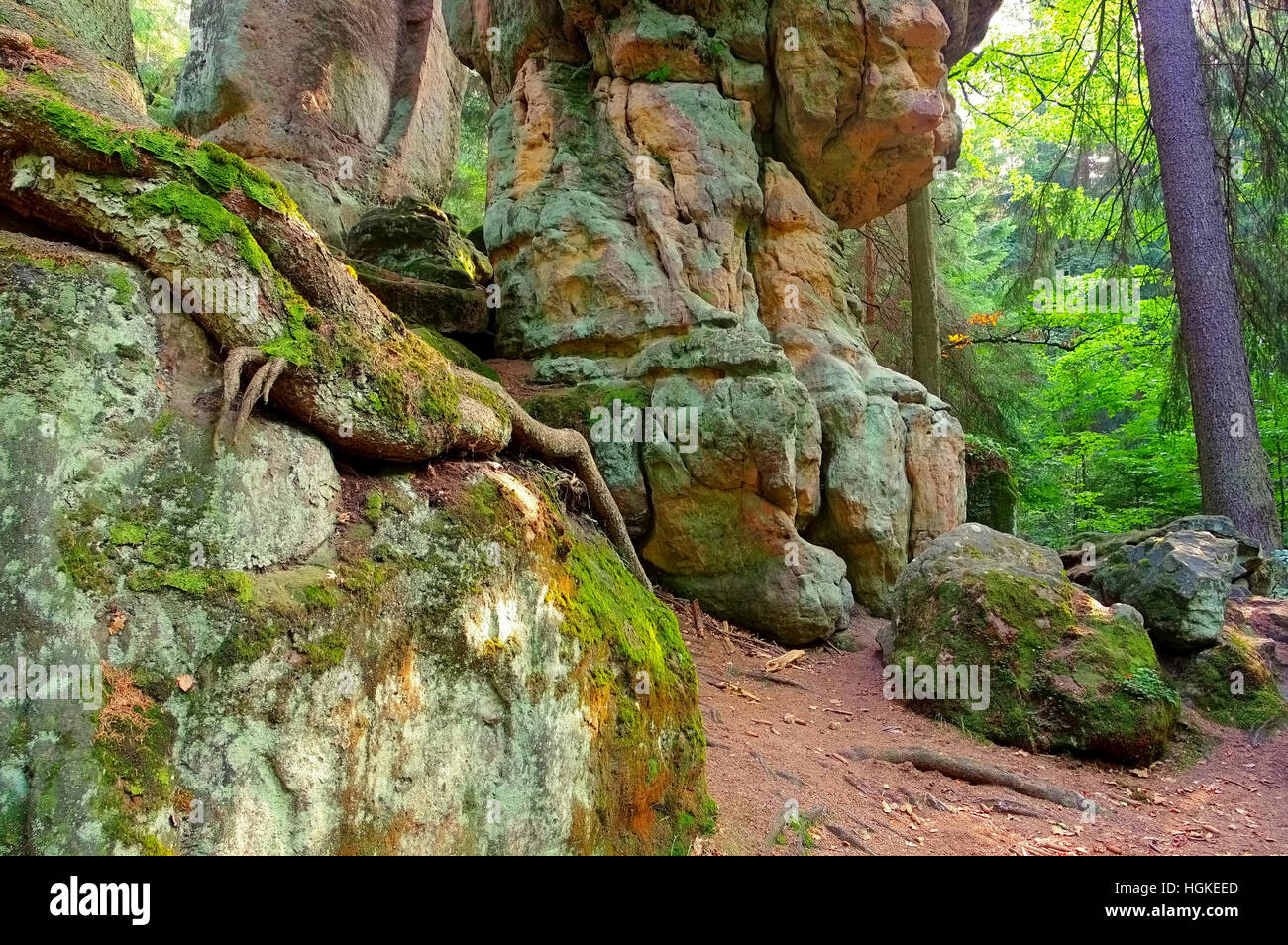 Felsen im Heuscheuergebirge in Schlesien, Polen - rocks in Stolowe Mountains in Silesia, Poland Stock Photo