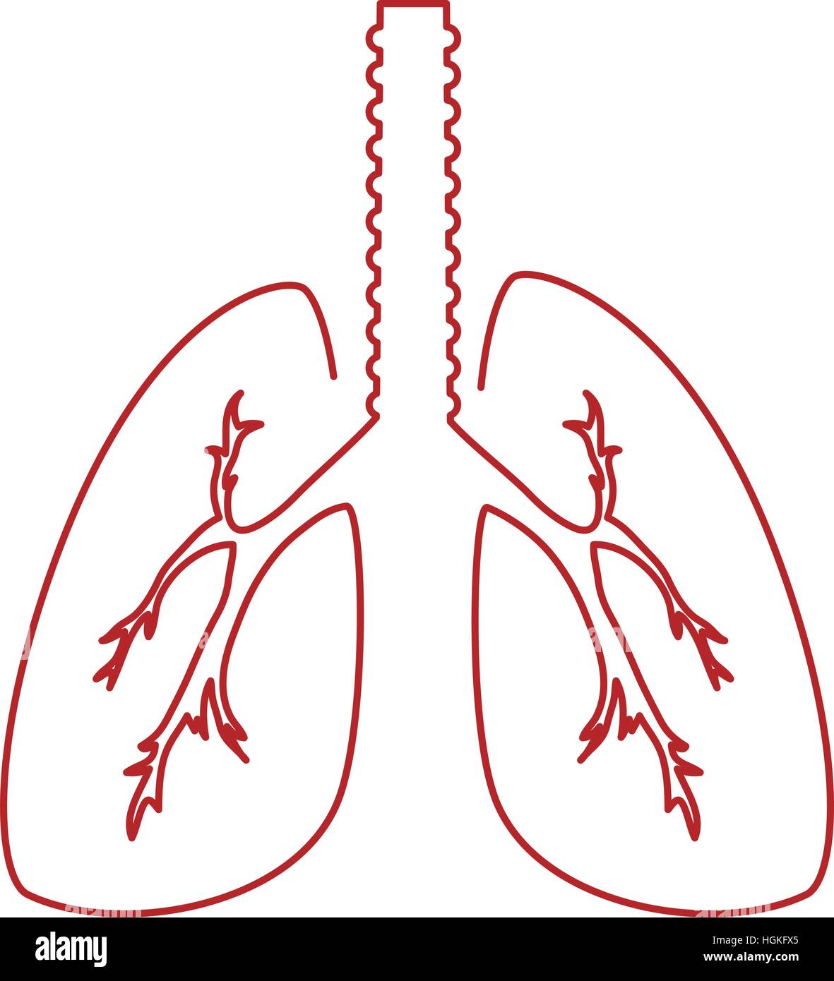 Ecological lungs isolated icon vector illustration design Stock Vector ...
