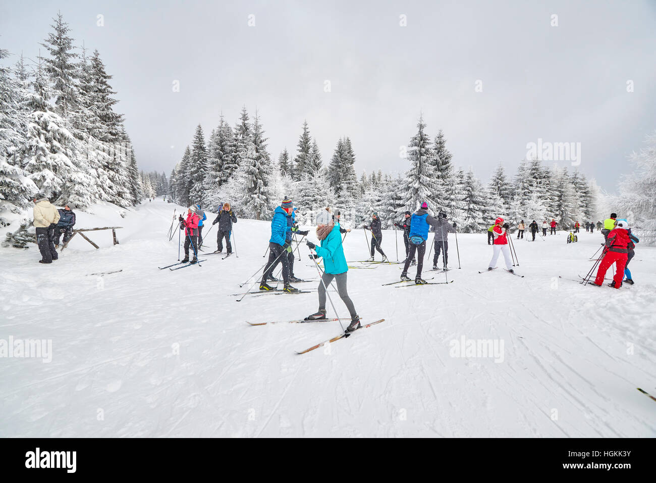 Cross-country skiers resting on trails intersection. Stock Photo