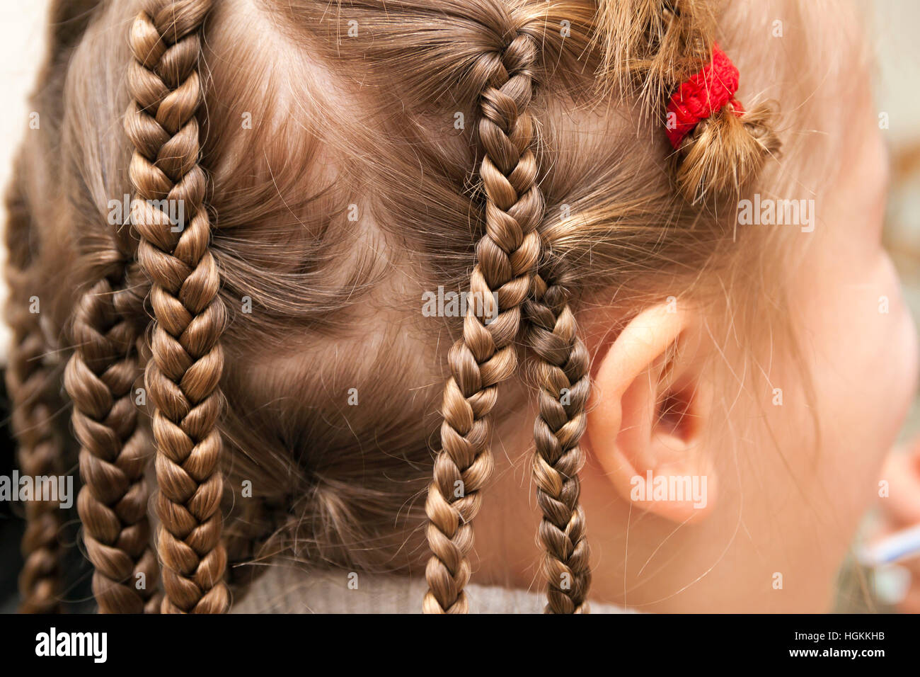Close-up of hair braided in pigtails, girl's head, blond hair, thin, tight,  youth style, zizi African hairstyle, brunette on white background Stock  Photo