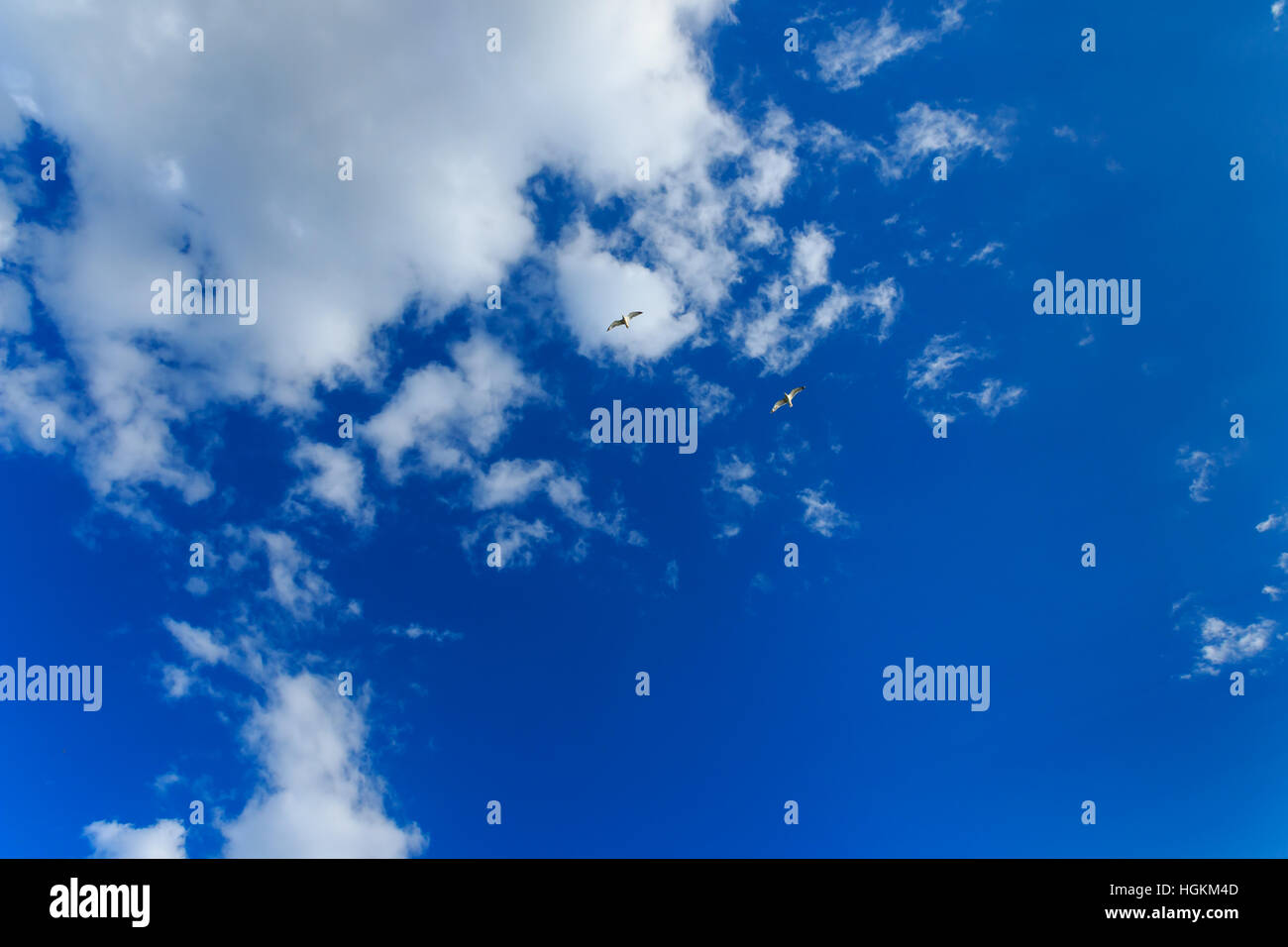 Blue sky with clouds and two birds Stock Photo - Alamy