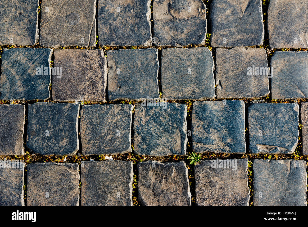 Old square street stones at daytime in Italy, Europe Stock Photo