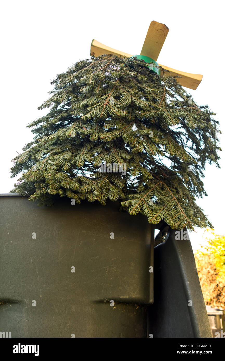Old christmas tree hi-res stock photography and images - Alamy