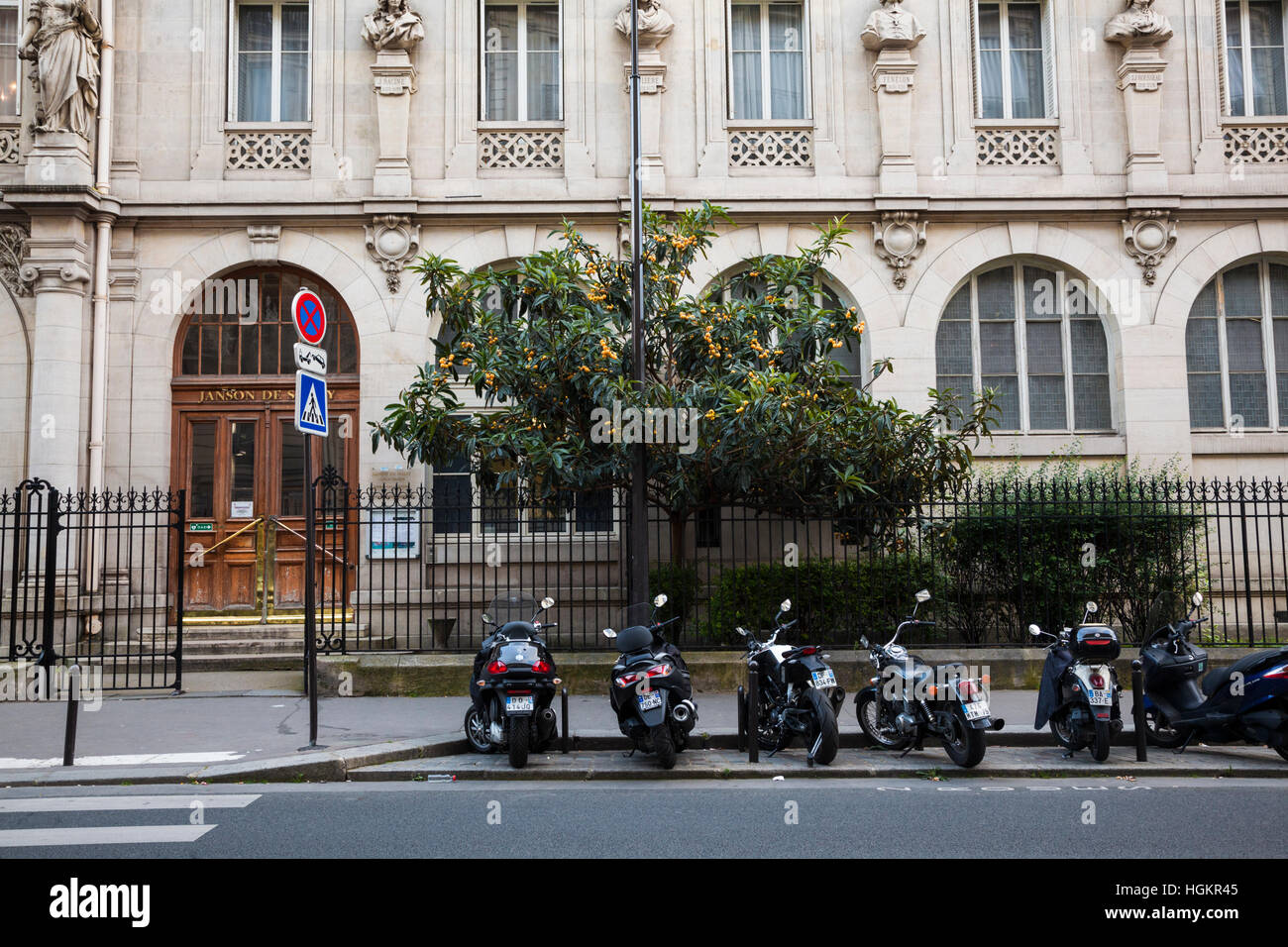 Fruiting loquat tree (Eriobotrya japonica) at the entrance to Lycée Janson de Sally, Paris, France. Stock Photo