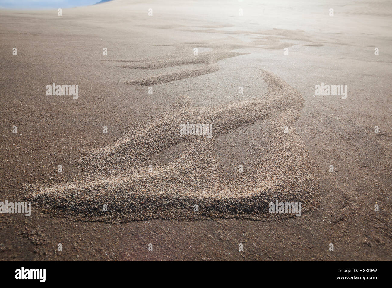 Ripples of coarse sand grains formed by wind, Great Sand Dunes National ...