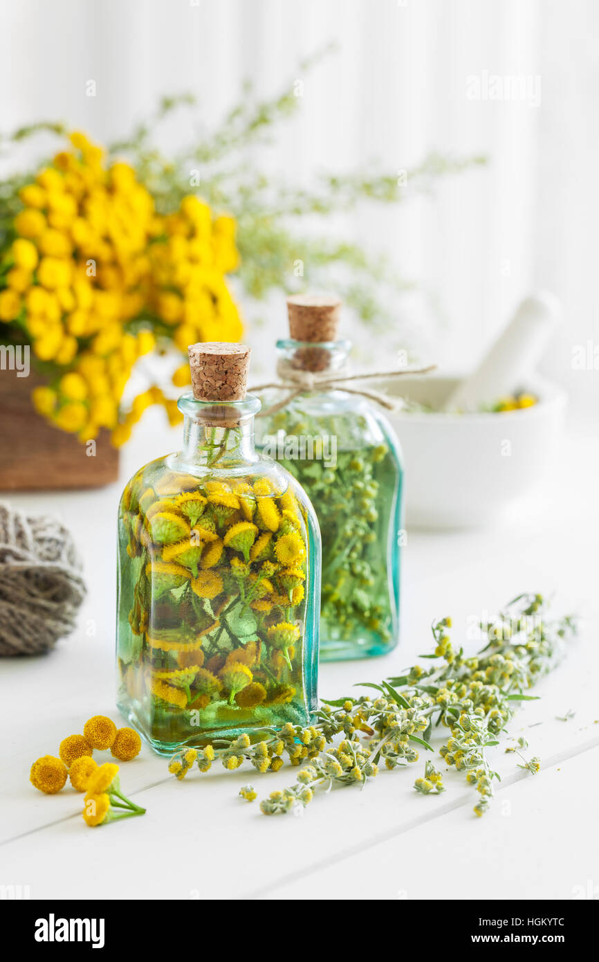Tincture bottles of tansy and tarragon healthy herbs, healing herbs in
