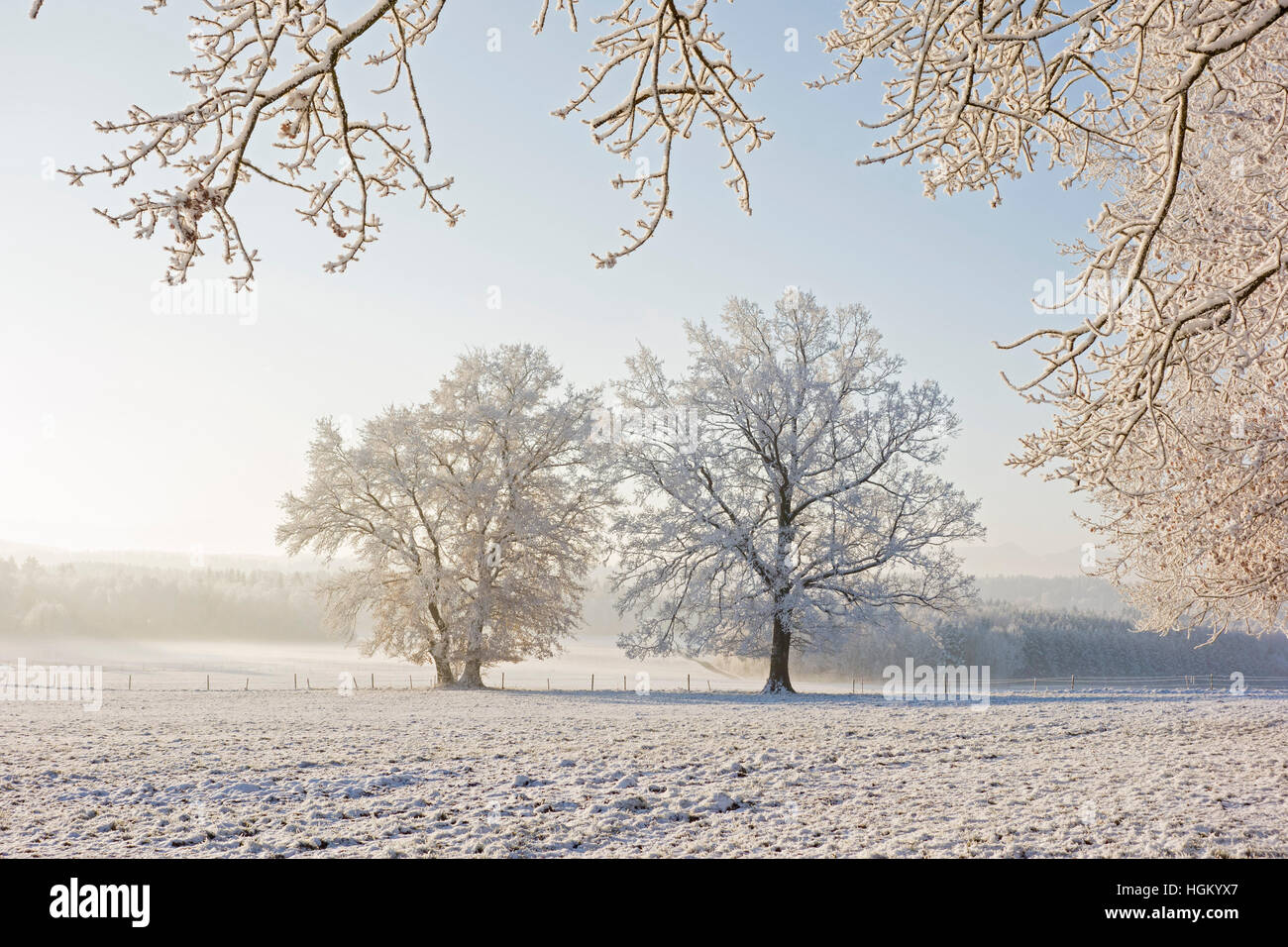 Winter Landscape - Bavaria, Germany Stock Photo