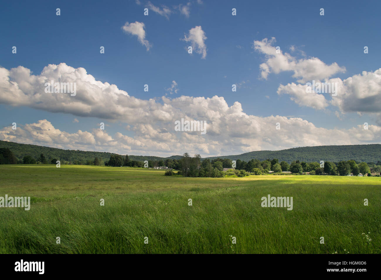 field on a partly cloudy day Stock Photo