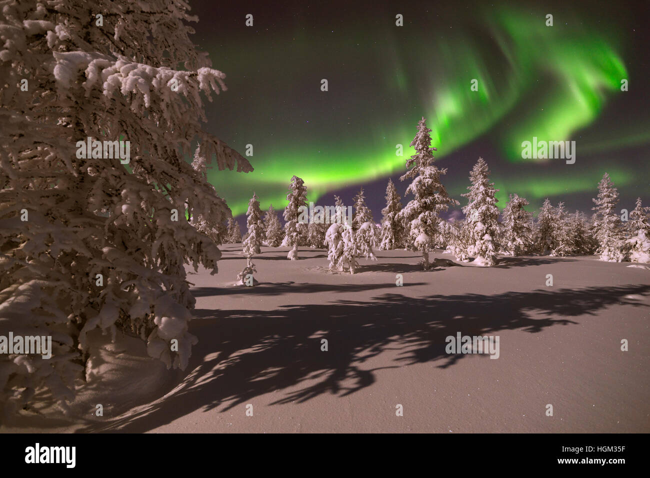 Northern Lights - Aurora borealis over snow-covered forest. Winter ...
