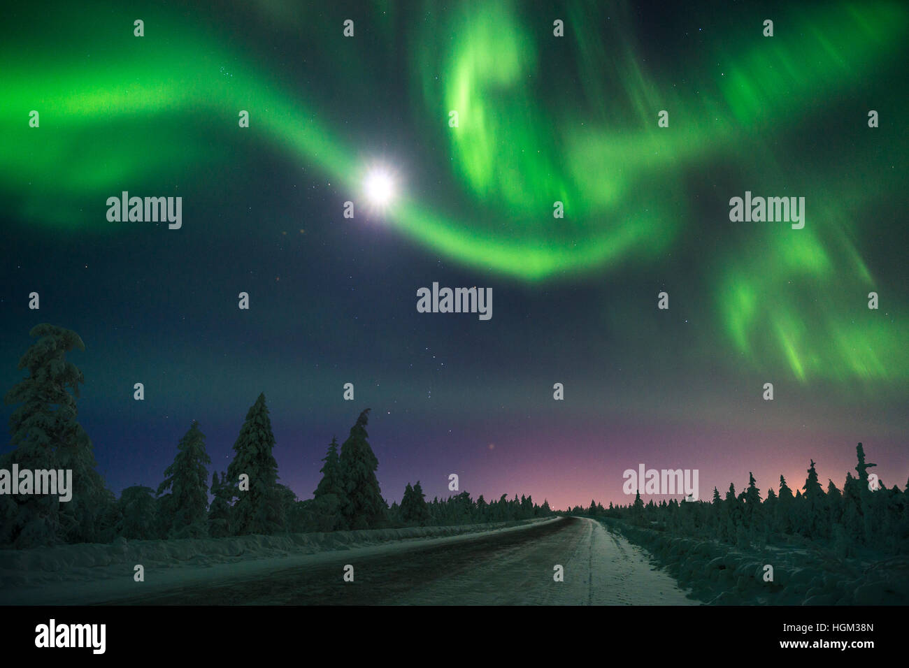 Northern Lights - Aurora borealis over snow-covered forest. Winter ...