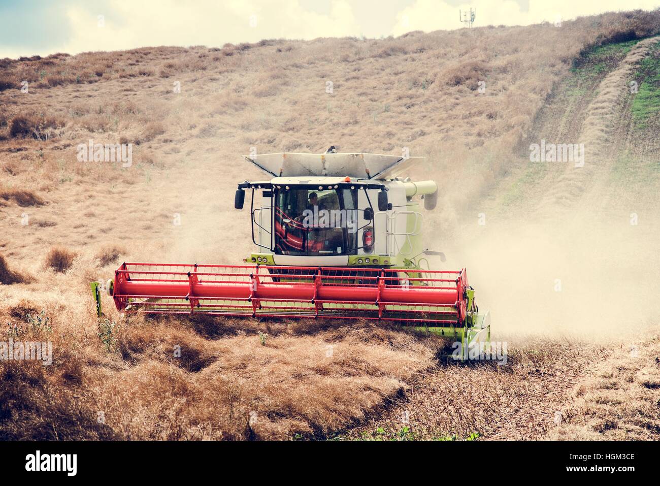 Harvest Agricultural Crop Field Machinery Season Concept Stock Photo