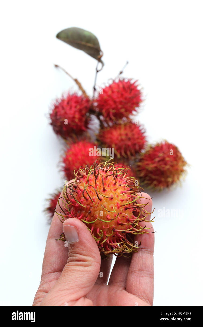 Close up of Nephelium lappaceum or also known as Rambutan fruits ...