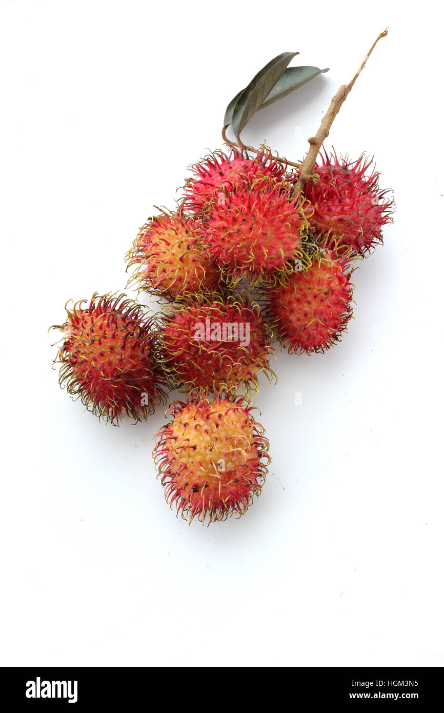 Close up of Nephelium lappaceum or also known as Rambutan fruits isolated against white background Stock Photo