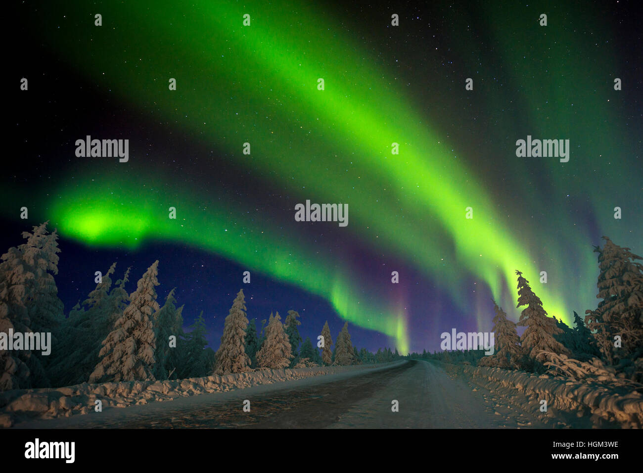 Northern Lights - Aurora borealis over snow-covered forest. Winter ...