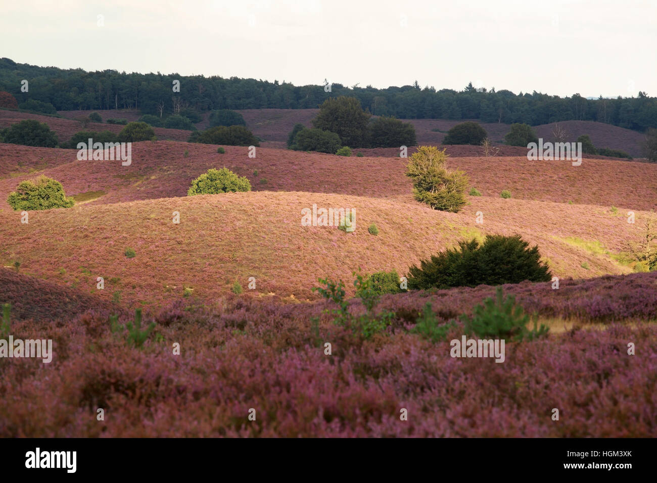 Sunlight Over Hills High Resolution Stock Photography and Images - Alamy