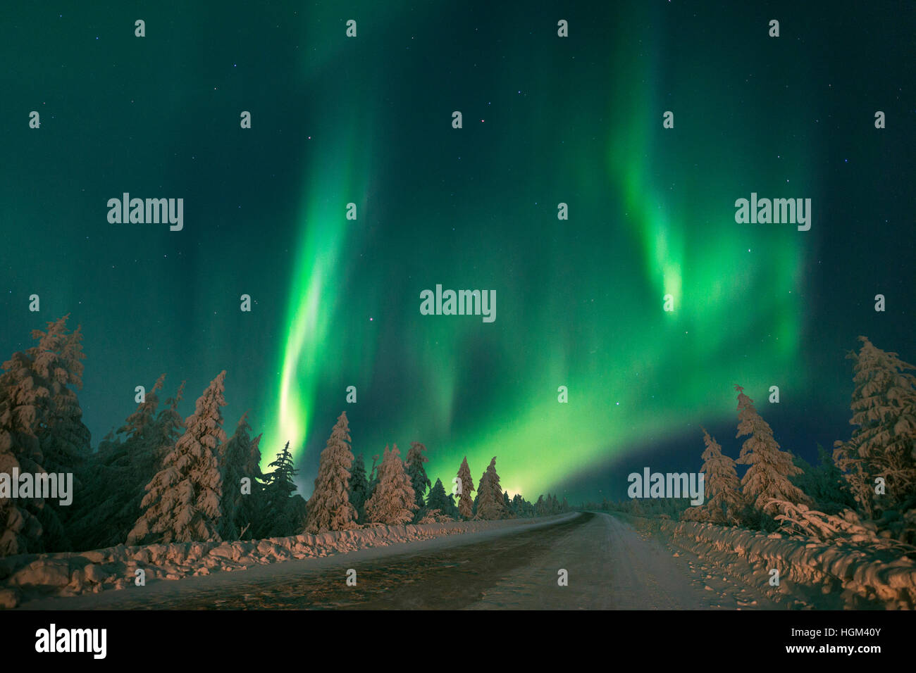 Northern Lights - Aurora borealis over snow-covered forest. Winter ...