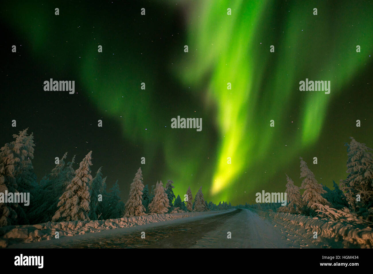 Northern Lights - Aurora borealis over snow-covered forest. Winter ...