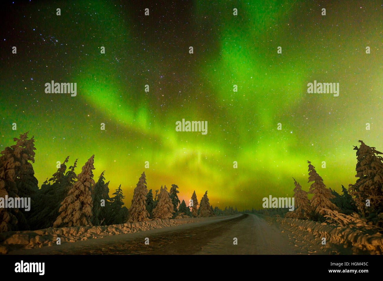 Northern Lights - Aurora borealis over snow-covered forest. Winter ...