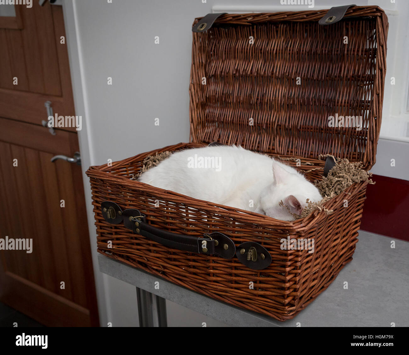 White cat resting in a wicker food hamper on a kitchen worksurface