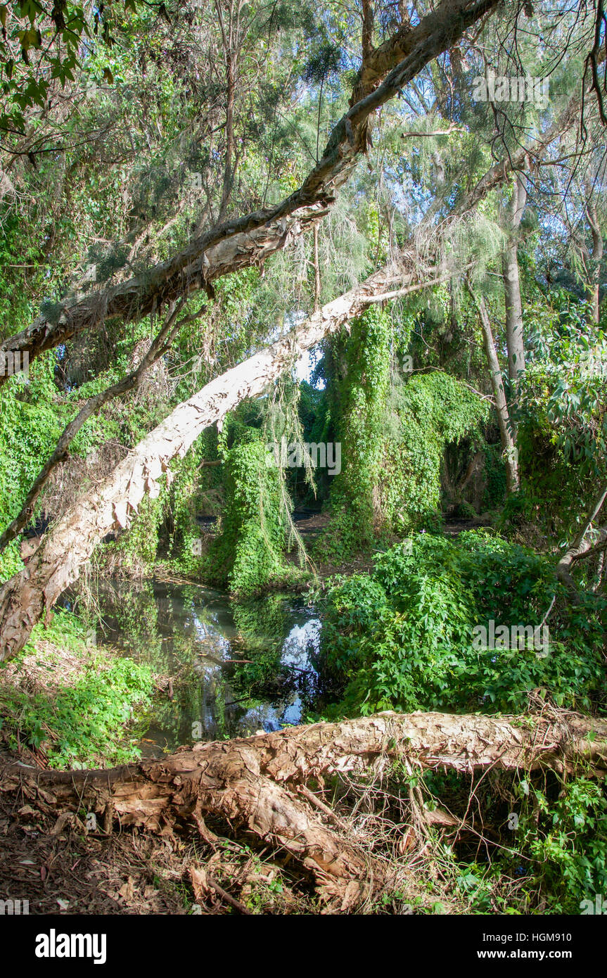 Gwelup Stock Photos Gwelup Stock Images Alamy