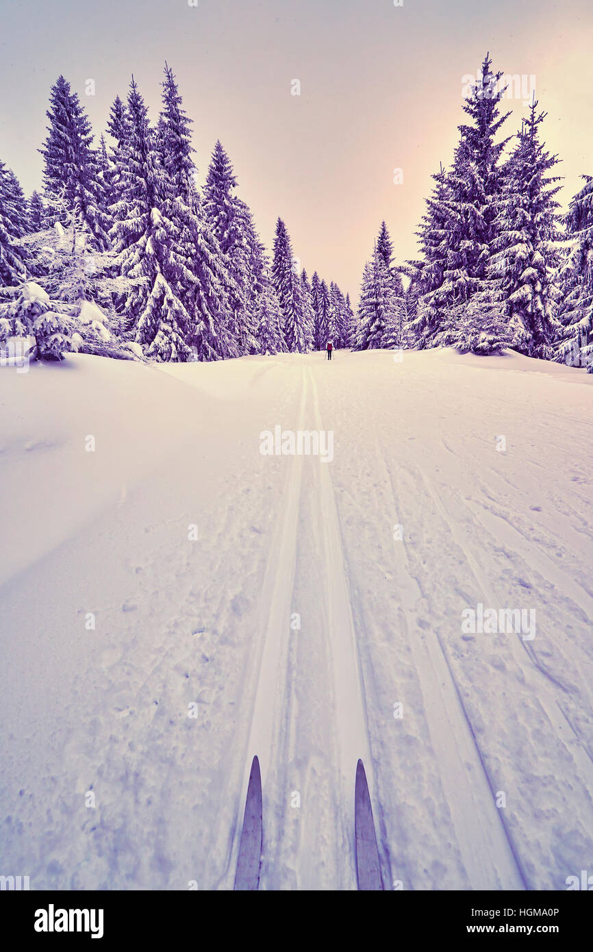 Retro stylized photo of crosscountry skis on tracks Stock Photo Alamy