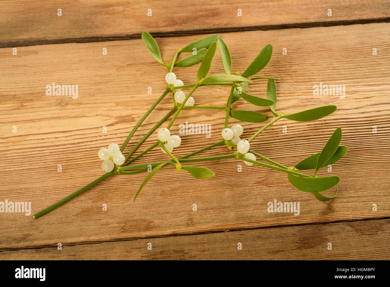 mistletoe branch with berries  on wood background Stock Photo