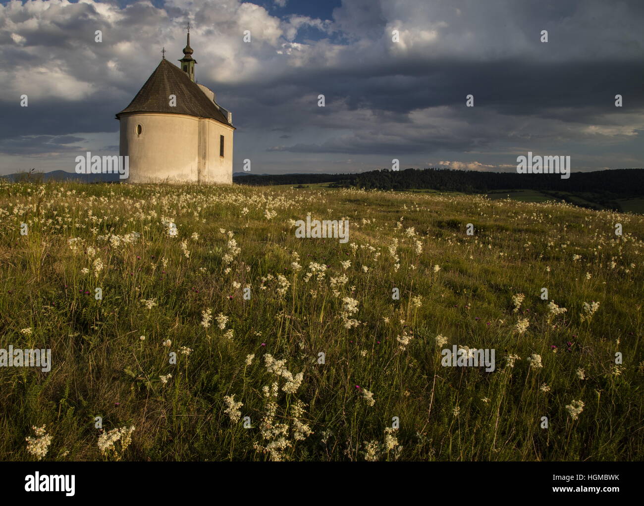Siva Brada hill and chapel; nature reserve near Levoca; Travertine grassland dominated by Dropwort. Slovakia. Stock Photo