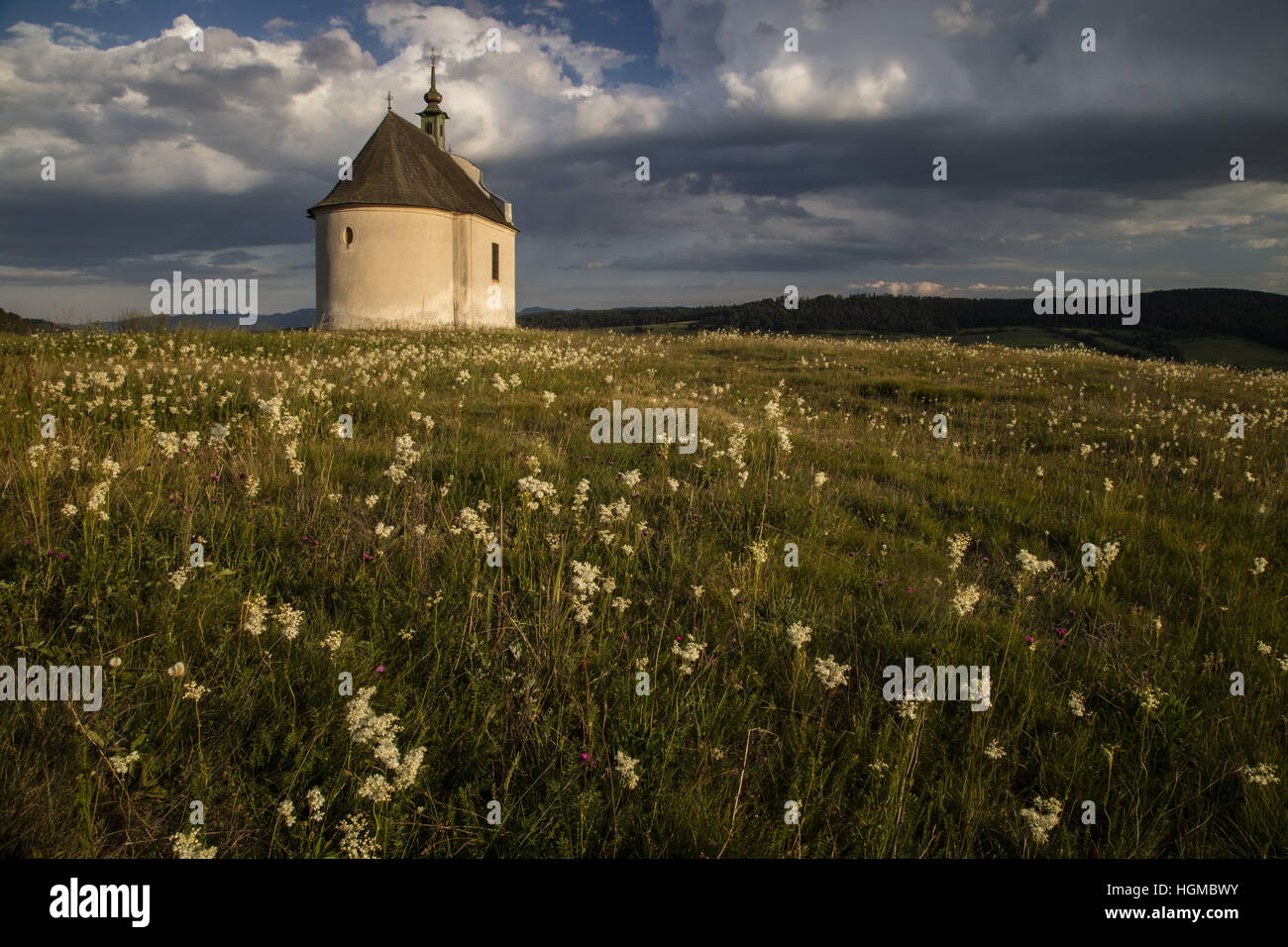 Siva Brada hill and chapel; nature reserve near Levoca; Travertine grassland dominated by Dropwort. Slovakia. Stock Photo