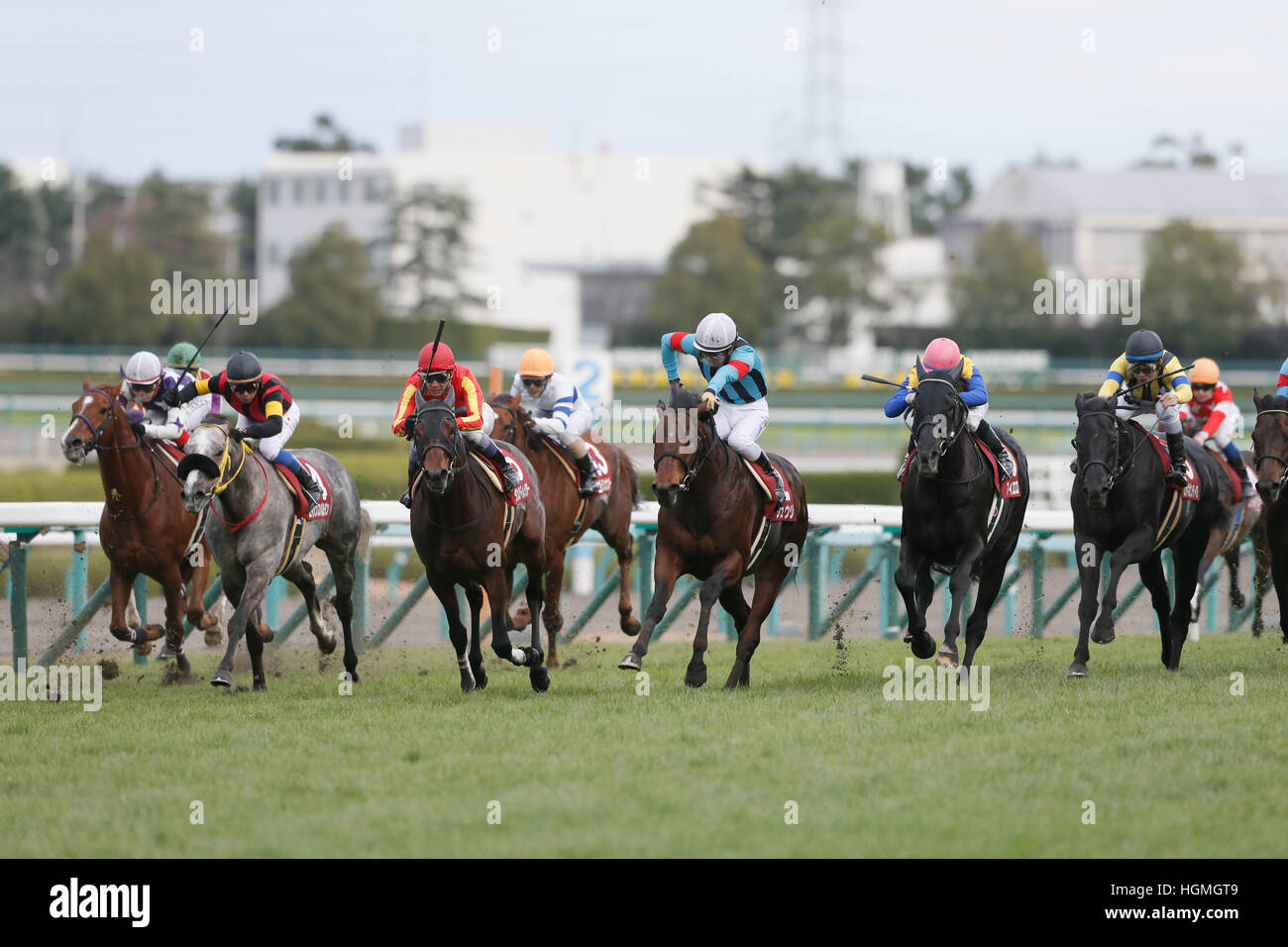 (L-R) Sunrise Major (Kenichi Ikezoe), A Shin Spartan (Yasunari Iwata), Dance Director (Yutaka Take), Golden Number (Shinichiro Akiyama), Shuji (Yuga Kawada), Fiero ( Mirco Demuro), Rosa Gigantea (Hironobu Tanabe), DECEMBER 24, 2016 - Horse Racing : Shuji ridden by Yuga Kawada wins the Hanshin Cup at Hanshin Racecourse in Hyogo, Japan. (Photo by Eiichi Yamane/AFLO) Stock Photo