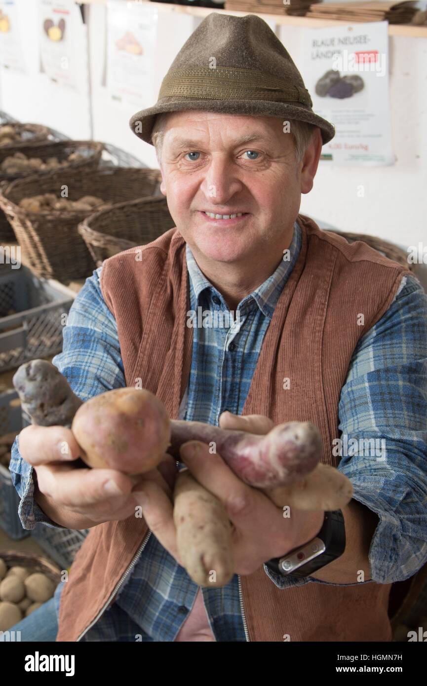The potato famer Ulrich Guendel holds up a historical type of potato, "Rosa Tannenzapfen" at his farm in Reichenbach im Vogtland, Germany, 10 January 2017. Guendel will present his historical potato type at the Green Weeks in Berlin, as a member of the association "Vogtlaendischen Knollenring". Photo: Sebastian Kahnert/dpa-Zentralbild/dpa Stock Photo