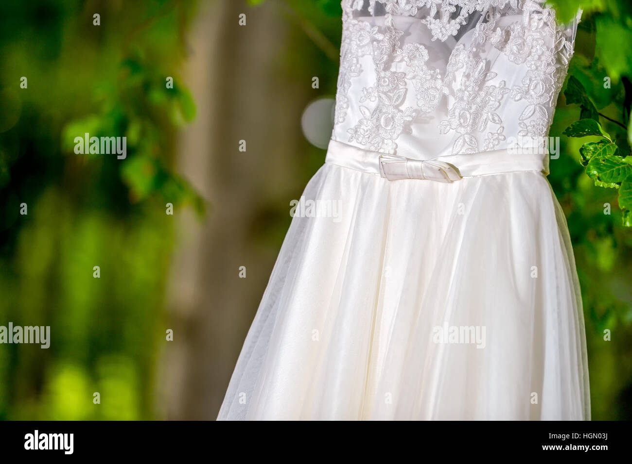 Wedding dress hanging in natural light Stock Photo
