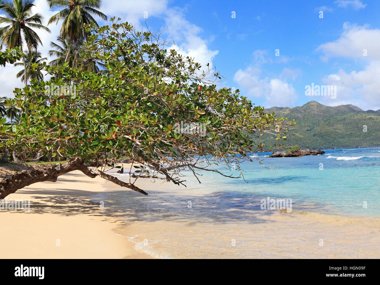 Playa Rincon, beach attraction in Samana Peninsula, Dominican Republic Stock Photo