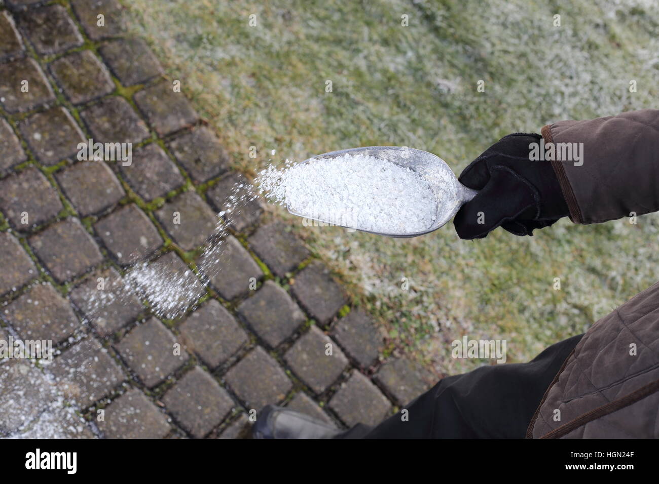 Man scattering salt in winter for de icing Stock Photo Alamy