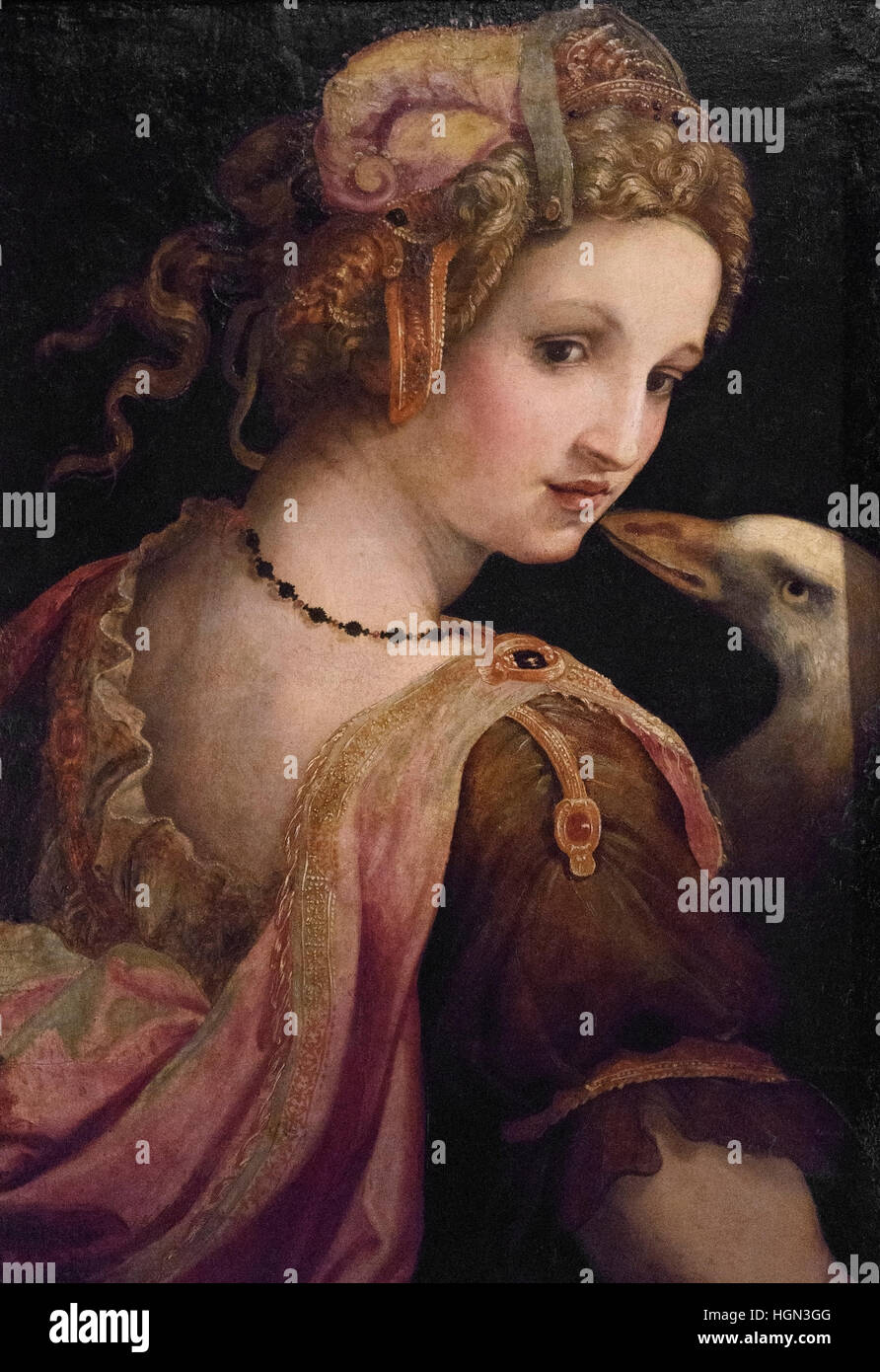 Leda and the swan hires stock photography and images Alamy