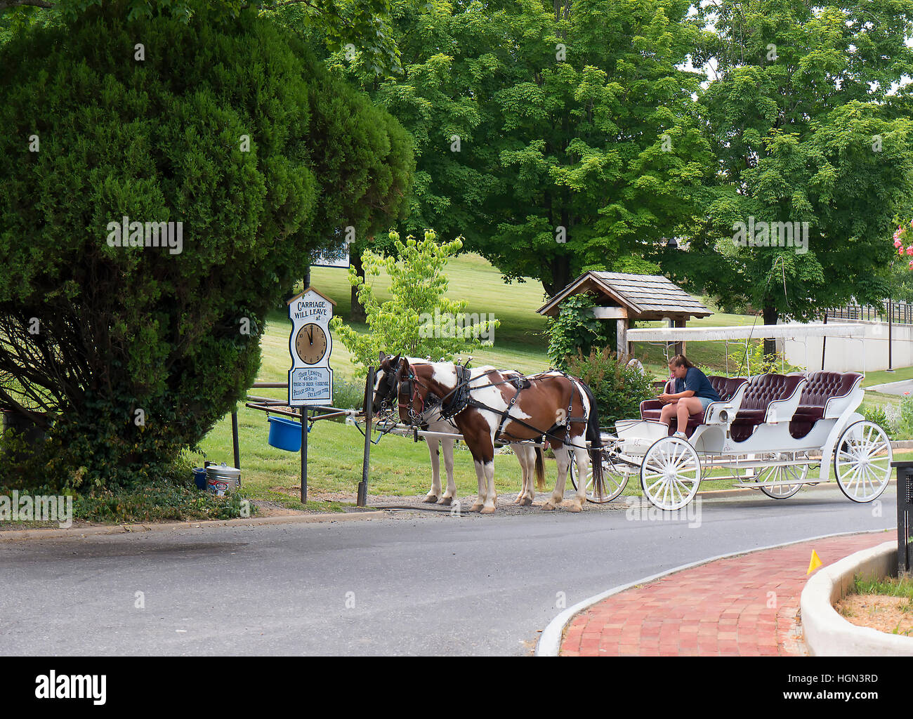 Horse and Carriage rides around the historic town of Lexington Virginia