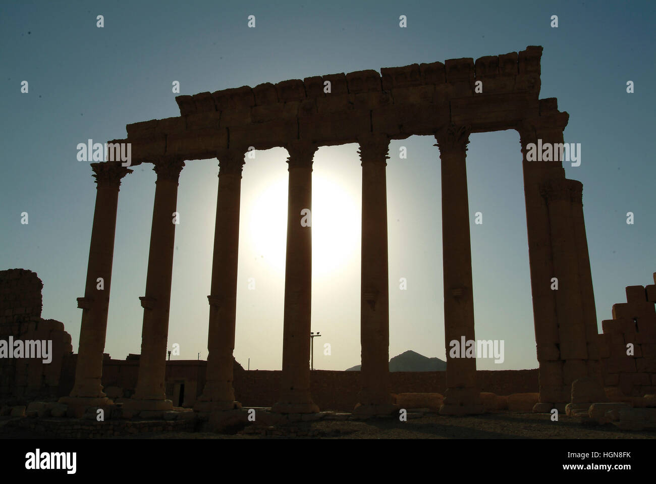 Syria Palmyra Colonnade Stock Photo