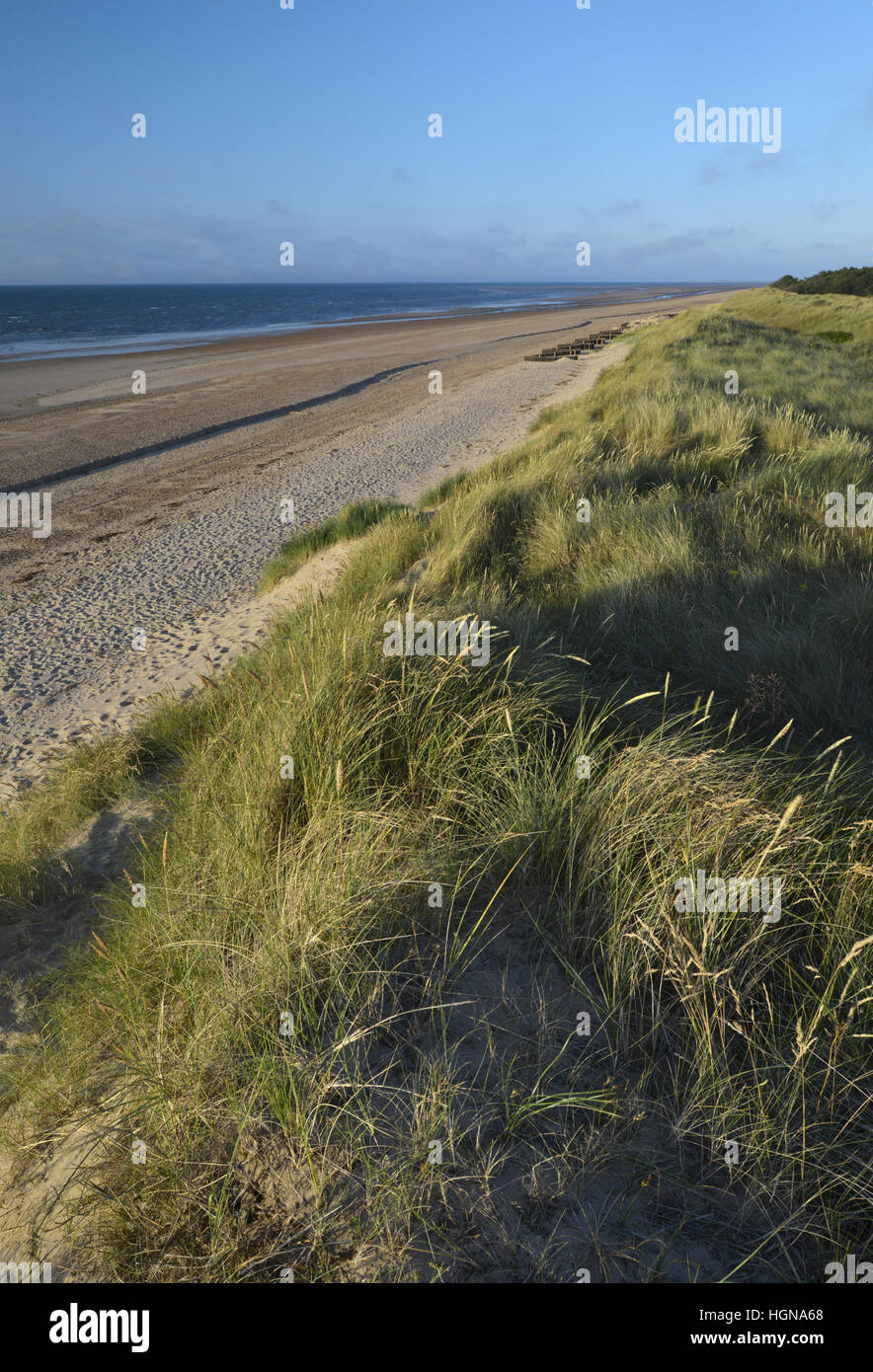 Sand Dunes, Holme Norfolk Stock Photo
