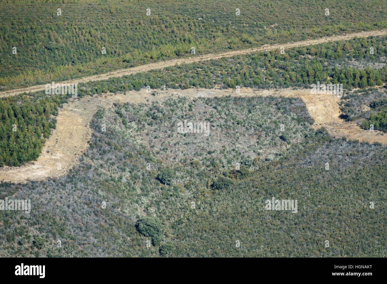 Firebreak hi-res stock photography and images - Alamy