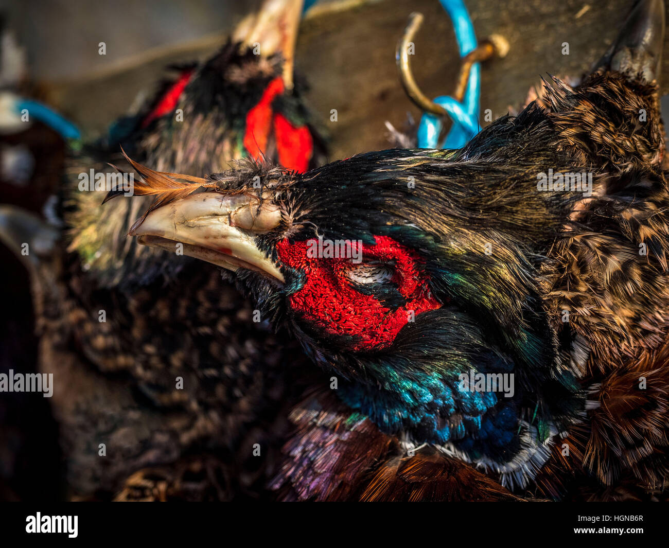 Brace of Pheasant and Partridge hanging outdoors Stock Photo