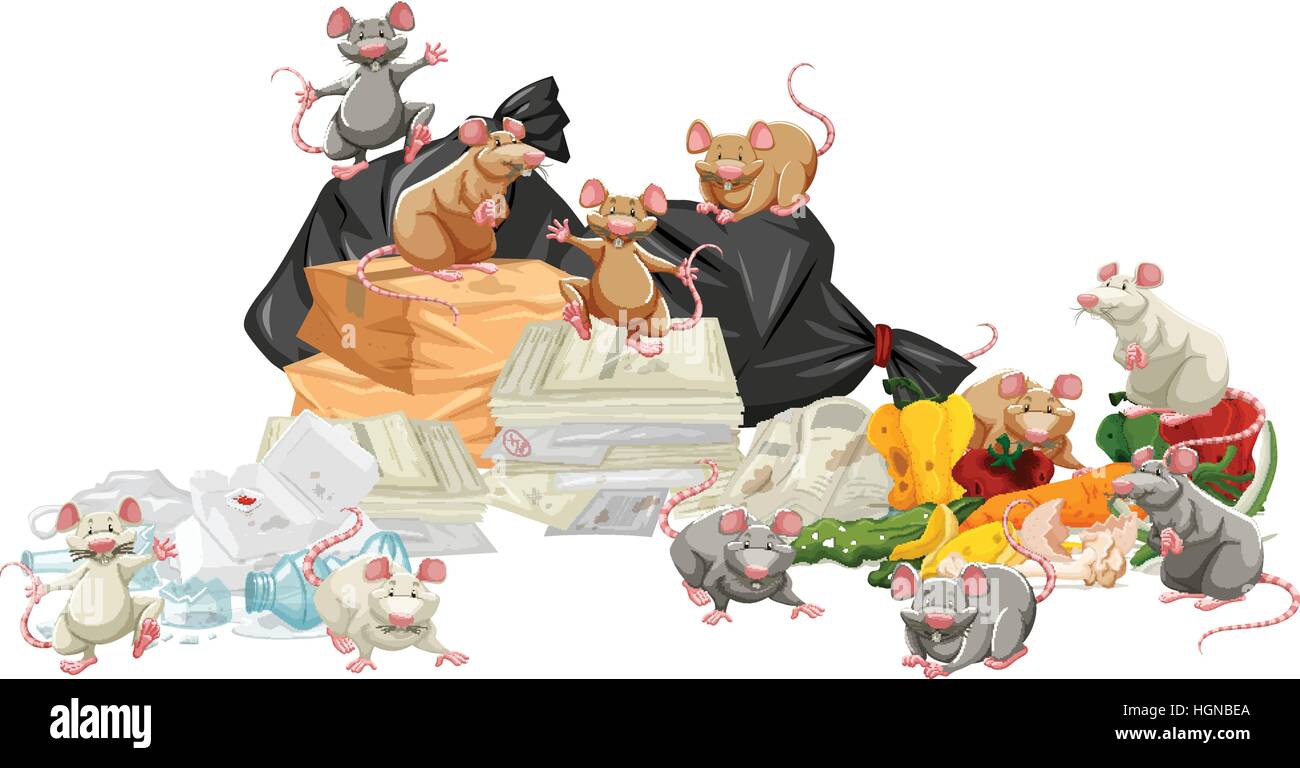 Many rats searching the trash illustration Stock Vector