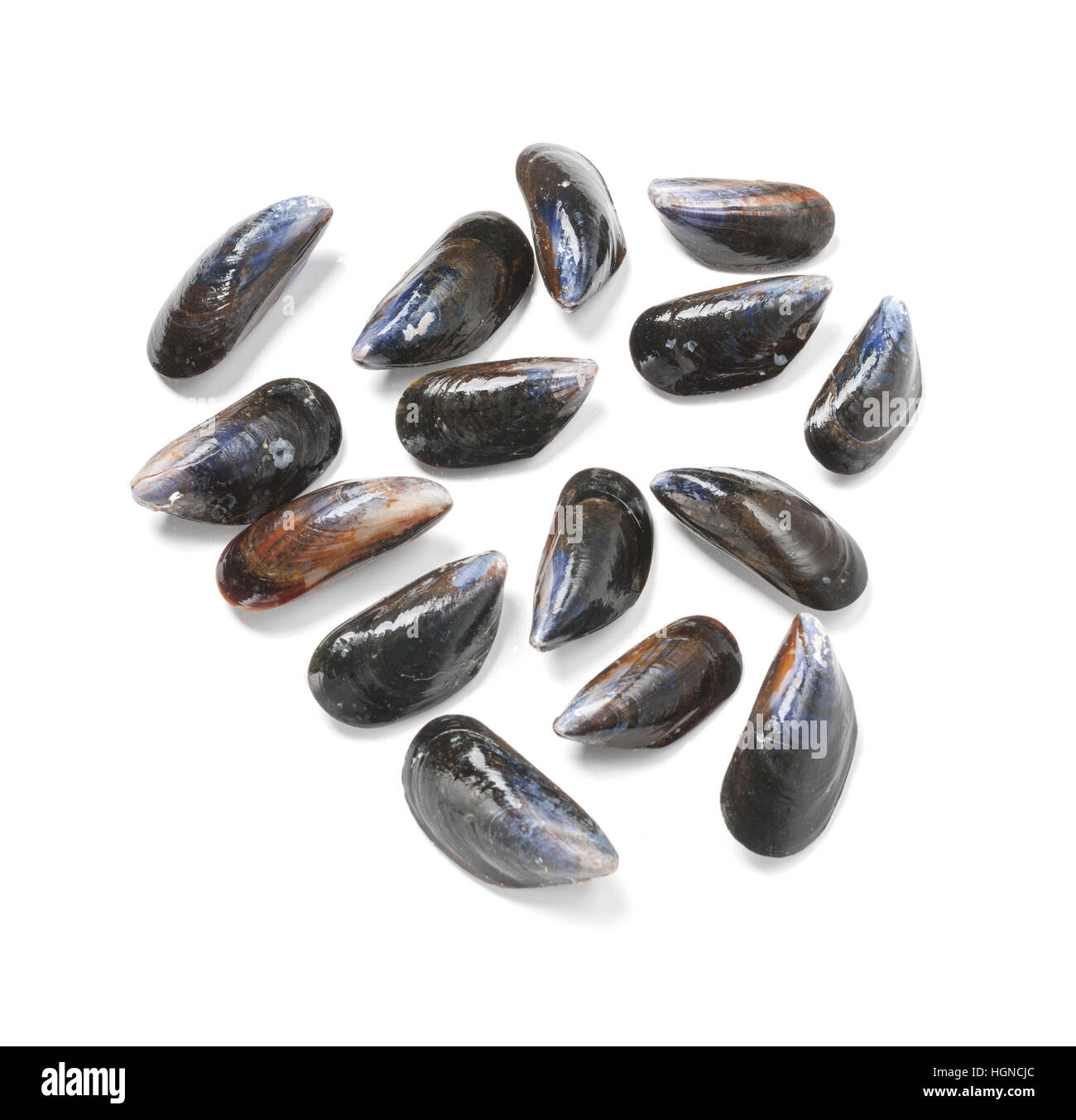 Mussels against white background Stock Photo