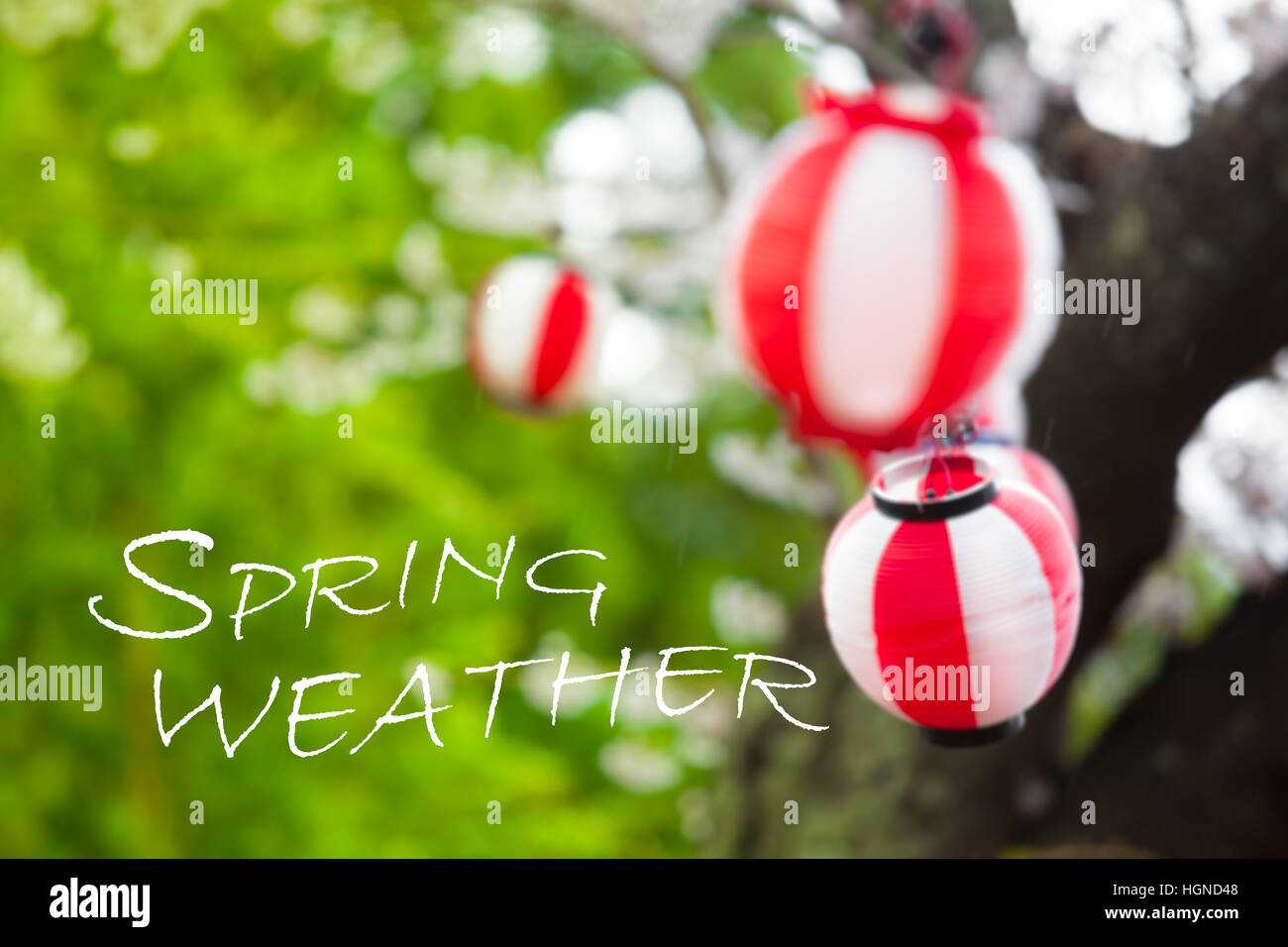 Blurred background of green tree and leaves and red and white striped lanterns at windy rainy day with white text letters Stock Photo