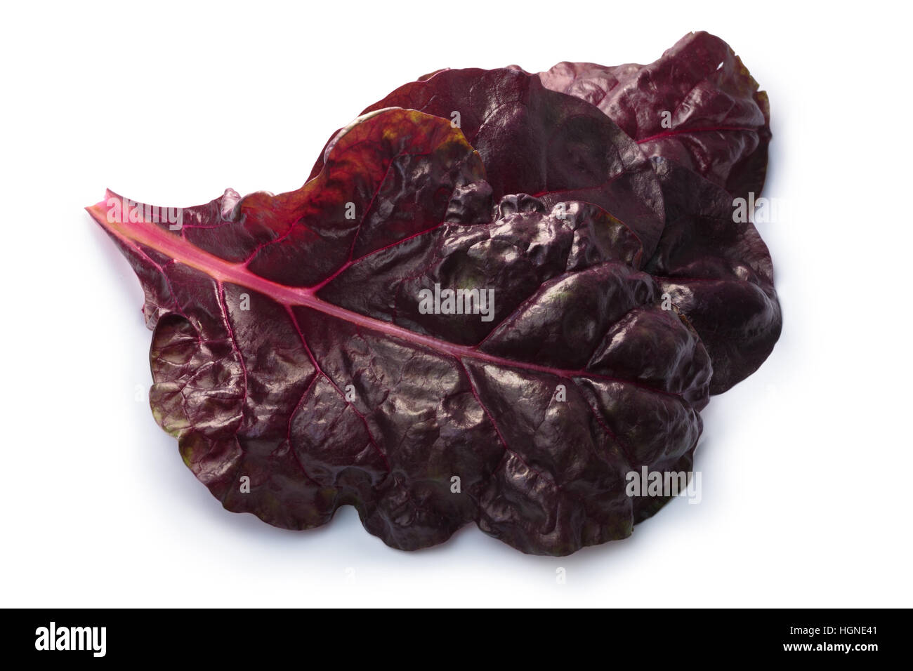 Leaves of ruby Swiss chard or Mangold (Beta vulgaris subsp. Cicla-Group). Clipping paths, shadows separated, top view, focus on foreground leaf Stock Photo