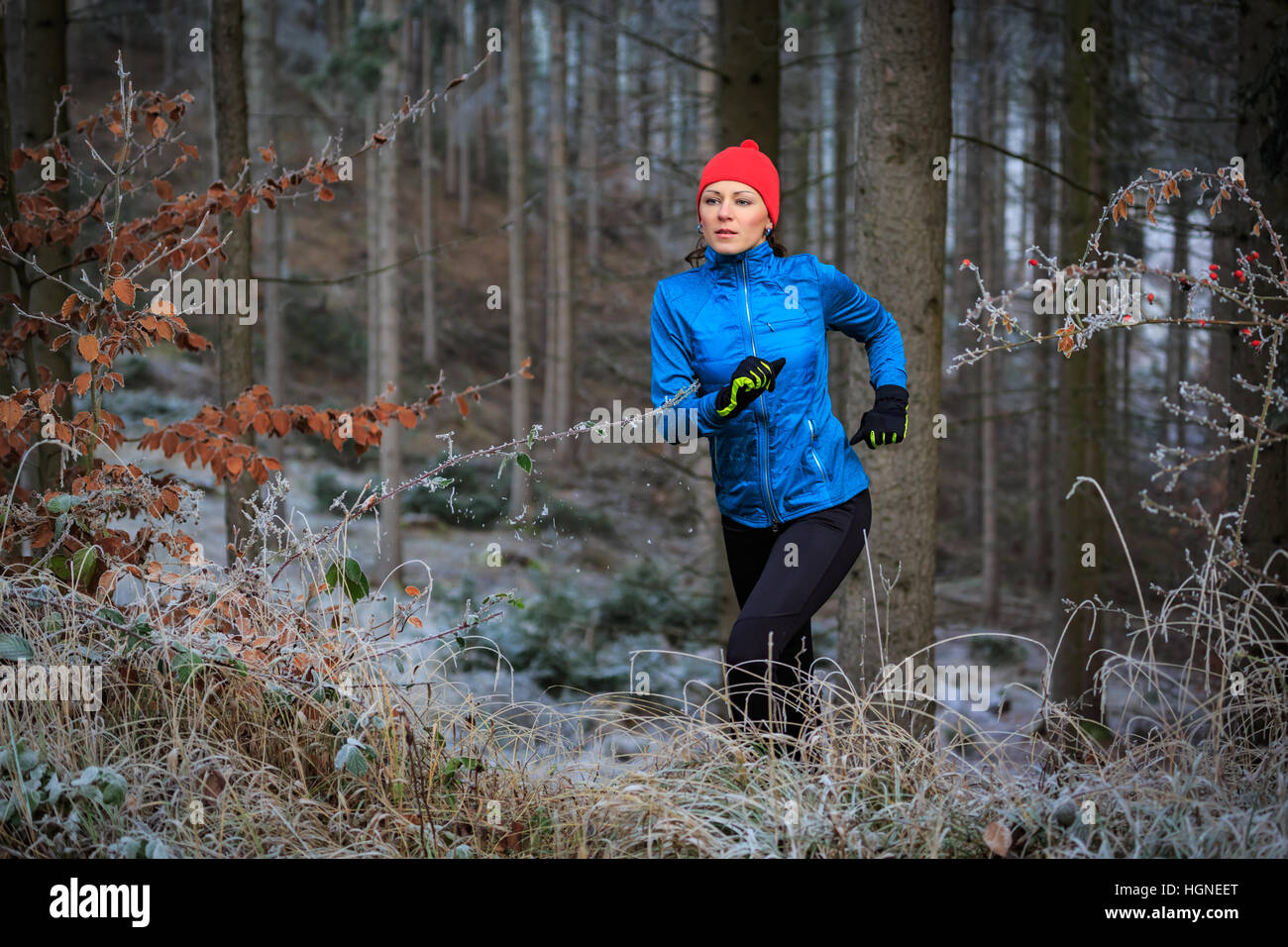 a young woman jogging in the wintry forest Stock Photo - Alamy