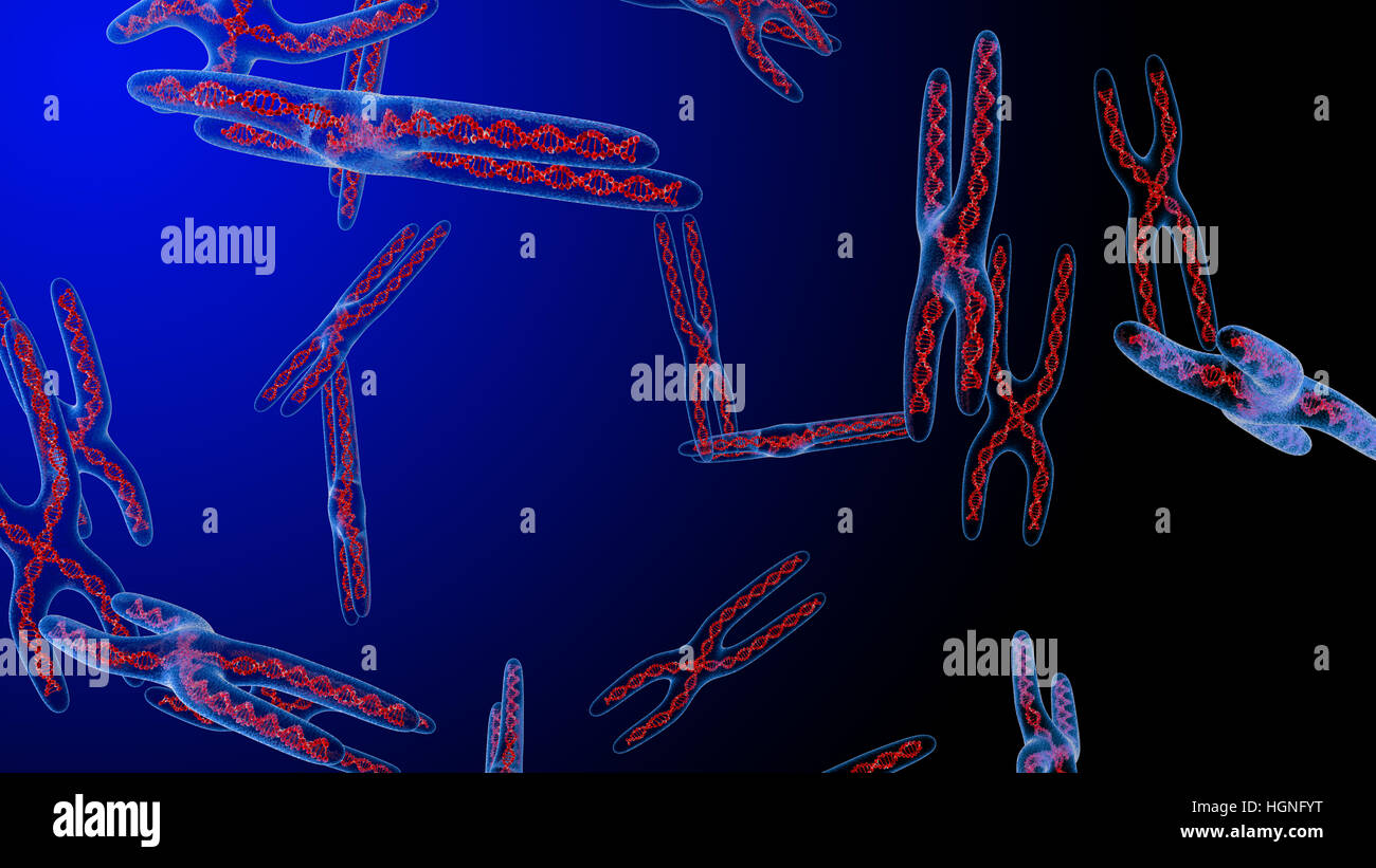 X chromosome . 3D render Stock Photo